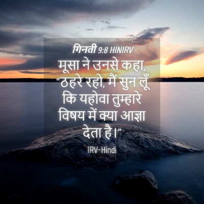 Picture 04 - गिनती 9:8 HINIRV - मूसा ने उनसे कहा, - Bible Verse Picture