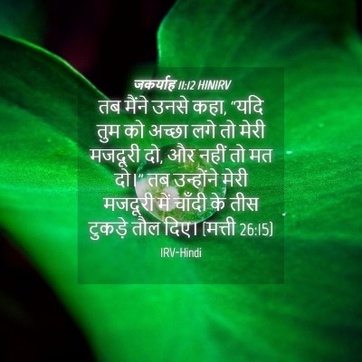Picture 04 - जकर्याह 11:12 HINIRV - तब मैंने उनसे कहा, - Bible Verse Picture
