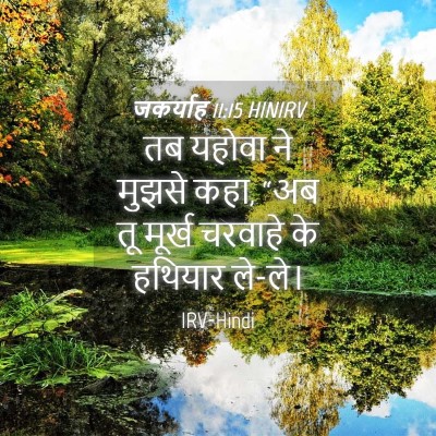 Picture 04 - जकर्याह 11:15 HINIRV - तब यहोवा ने मुझसे - Bible Verse Picture