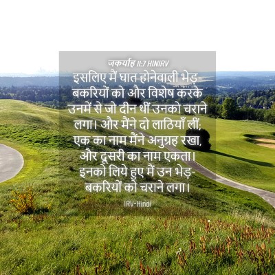 Picture 04 - जकर्याह 11:7 HINIRV - इसलिए मैं घात - Bible Verse Picture