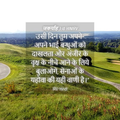 Picture 04 - जकर्याह 3:10 HINIRV - उसी दिन तुम - Bible Verse Picture