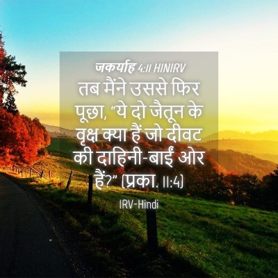 Picture 04 - जकर्याह 4:11 HINIRV - तब मैंने उससे फिर - Bible Verse Picture