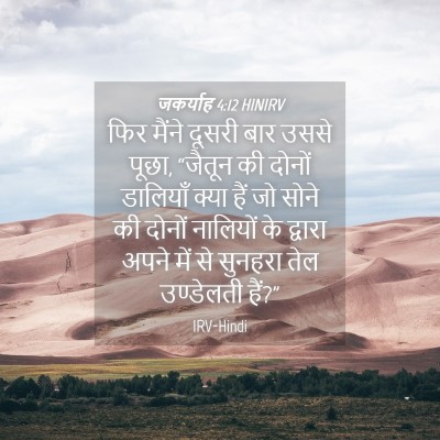 Picture 04 - जकर्याह 4:12 HINIRV - फिर मैंने दूसरी - Bible Verse Picture