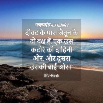Picture 04 - जकर्याह 4:3 HINIRV - दीवट के पास जैतून - Bible Verse Picture