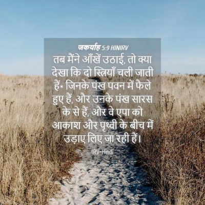 Picture 04 - जकर्याह 5:9 HINIRV - तब मैंने आँखें - Bible Verse Picture