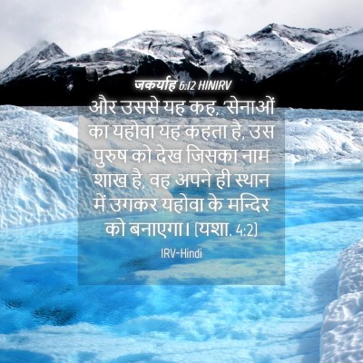 Picture 04 - जकर्याह 6:12 HINIRV - और उससे यह कह, - Bible Verse Picture