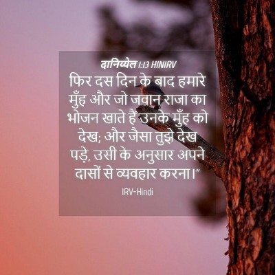 Picture 04 - दानिय्येल 1:13 HINIRV - फिर दस दिन के बाद - Bible Verse Picture