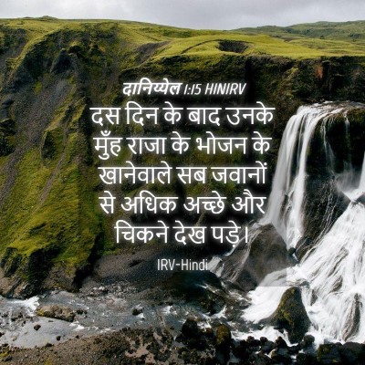 Picture 04 - दानिय्येल 1:15 HINIRV - दस दिन के बाद उनके - Bible Verse Picture