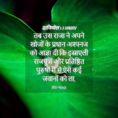 Picture 04 - दानिय्येल 1:3 HINIRV - तब उस राजा ने अपने - Bible Verse Picture