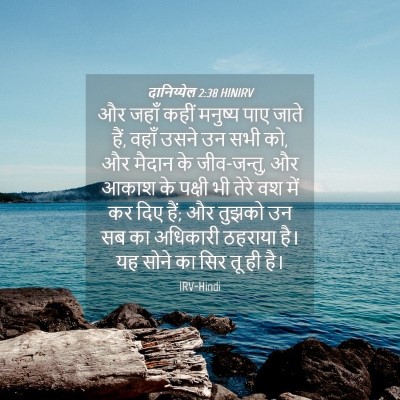 Picture 04 - दानिय्येल 2:38 HINIRV - और जहाँ कहीं - Bible Verse Picture