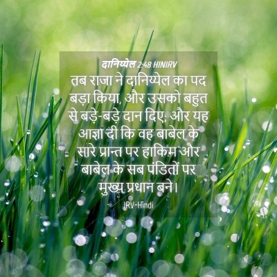 Picture 04 - दानिय्येल 2:48 HINIRV - तब राजा ने - Bible Verse Picture