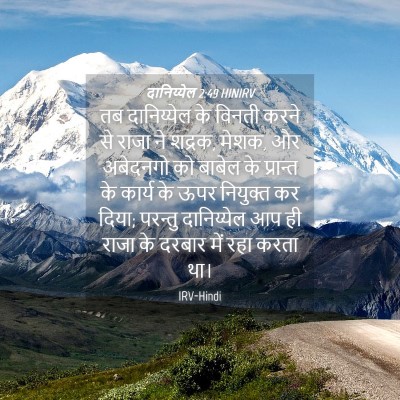 Picture 04 - दानिय्येल 2:49 HINIRV - तब दानिय्येल के - Bible Verse Picture
