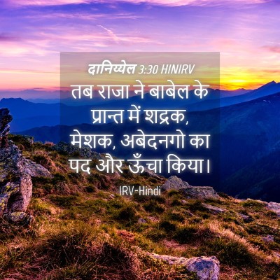 Picture 04 - दानिय्येल 3:30 HINIRV - तब राजा ने बाबेल के - Bible Verse Picture