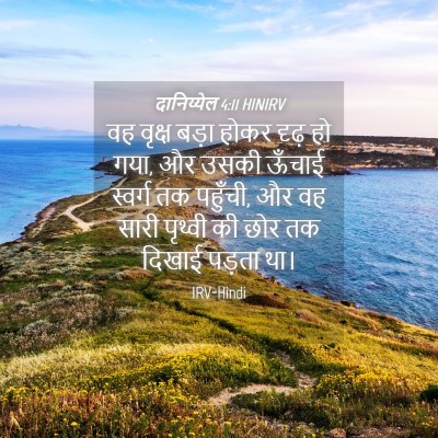 Picture 04 - दानिय्येल 4:11 HINIRV - वह वृक्ष बड़ा होकर - Bible Verse Picture
