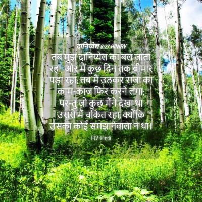 Picture 04 - दानिय्येल 8:27 HINIRV - तब मुझ दानिय्येल - Bible Verse Picture