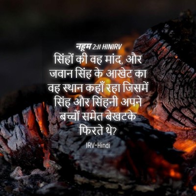 Picture 04 - नहूम 2:11 HINIRV - सिंहों की वह मांद, - Bible Verse Picture