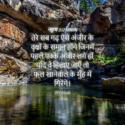 Picture 04 - नहूम 3:12 HINIRV - तेरे सब गढ़ ऐसे - Bible Verse Picture