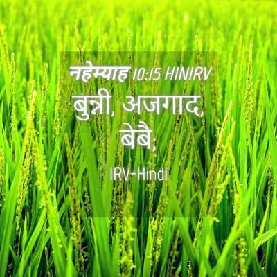 Picture 04 - नहेम्याह 10:15 HINIRV - बुन्नी, अजगाद, - Bible Verse Picture