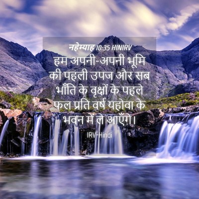 Picture 04 - नहेम्याह 10:35 HINIRV - हम अपनी-अपनी भूमि - Bible Verse Picture