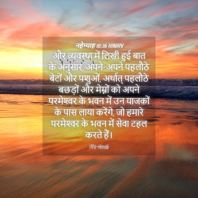 Picture 04 - नहेम्याह 10:36 HINIRV - और व्यवस्था में - Bible Verse Picture