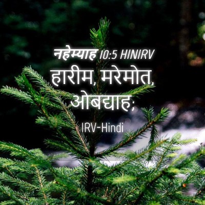 Picture 04 - नहेम्याह 10:5 HINIRV - हारीम, मरेमोत, - Bible Verse Picture
