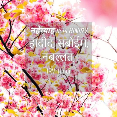 Picture 04 - नहेम्याह 11:34 HINIRV - हादीद, सबोईम, - Bible Verse Picture