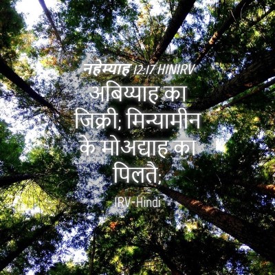 Picture 04 - नहेम्याह 12:17 HINIRV - अबिय्याह का - Bible Verse Picture