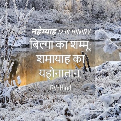 Picture 04 - नहेम्याह 12:18 HINIRV - बिल्गा का शम्मू; - Bible Verse Picture