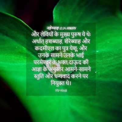 Picture 04 - नहेम्याह 12:24 HINIRV - और लेवियों के - Bible Verse Picture