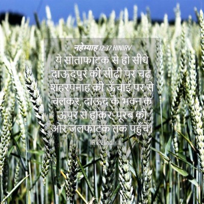 Picture 04 - नहेम्याह 12:37 HINIRV - ये सोताफाटक से हो - Bible Verse Picture