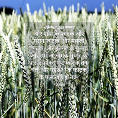Picture 04 - नहेम्याह 12:39 HINIRV - और एप्रैम के फाटक - Bible Verse Picture