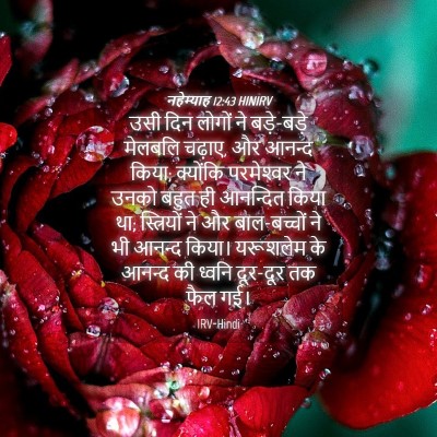 Picture 04 - नहेम्याह 12:43 HINIRV - उसी दिन लोगों ने - Bible Verse Picture