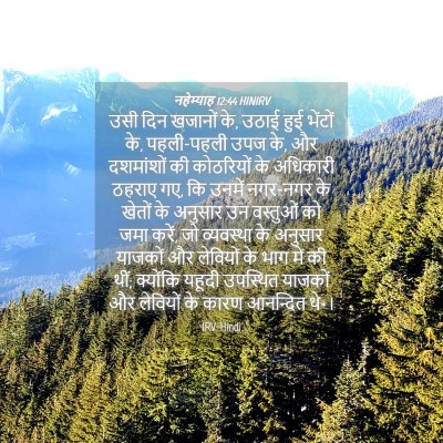 Picture 04 - नहेम्याह 12:44 HINIRV - उसी दिन खजानों के, - Bible Verse Picture