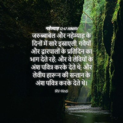 Picture 04 - नहेम्याह 12:47 HINIRV - जरुब्बाबेल और - Bible Verse Picture