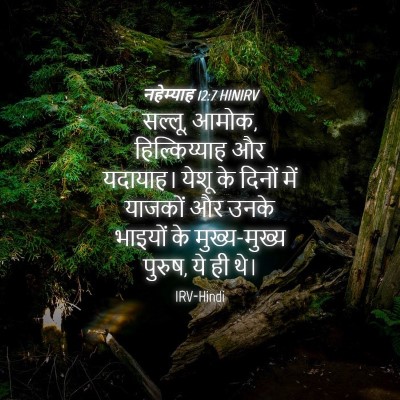Picture 04 - नहेम्याह 12:7 HINIRV - सल्लू, आमोक, - Bible Verse Picture