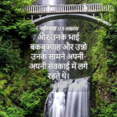 Picture 04 - नहेम्याह 12:9 HINIRV - और उनके भाई - Bible Verse Picture