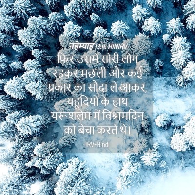 Picture 04 - नहेम्याह 13:16 HINIRV - फिर उसमें सोरी लोग - Bible Verse Picture
