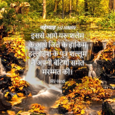Picture 04 - नहेम्याह 3:12 HINIRV - इससे आगे यरूशलेम - Bible Verse Picture
