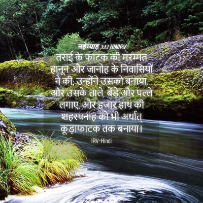 Picture 04 - नहेम्याह 3:13 HINIRV - तराई के फाटक की - Bible Verse Picture