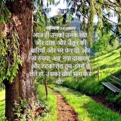 Picture 04 - नहेम्याह 5:11 HINIRV - आज ही उनको उनके - Bible Verse Picture