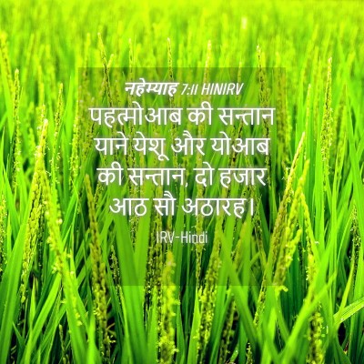 Picture 04 - नहेम्याह 7:11 HINIRV - पहत्मोआब की - Bible Verse Picture