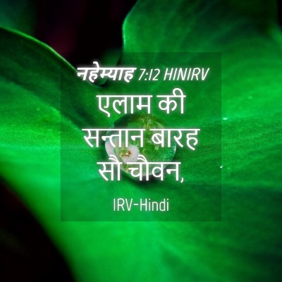Picture 04 - नहेम्याह 7:12 HINIRV - एलाम की सन्तान - Bible Verse Picture