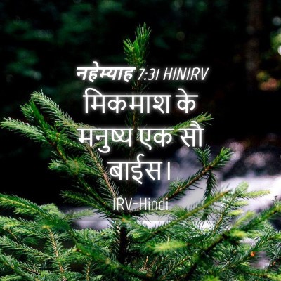 Picture 04 - नहेम्याह 7:31 HINIRV - मिकमाश के मनुष्य - Bible Verse Picture