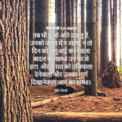 Picture 04 - नहेम्याह 9:19 HINIRV - तब भी तू जो अति - Bible Verse Picture