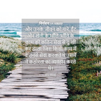 Picture 04 - निर्गमन 1:14 HINIRV - और उनके जीवन को - Bible Verse Picture