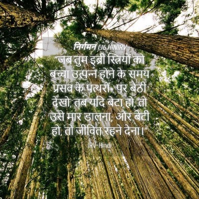 Picture 04 - निर्गमन 1:16 HINIRV - “जब तुम इब्री - Bible Verse Picture