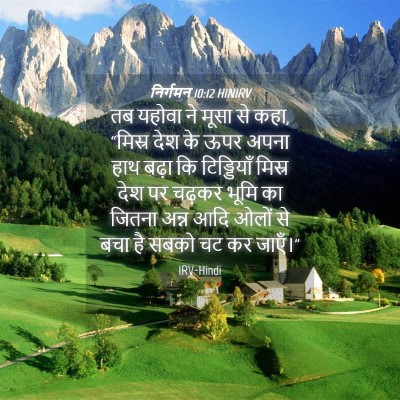 Picture 04 - निर्गमन 10:12 HINIRV - तब यहोवा ने मूसा से - Bible Verse Picture