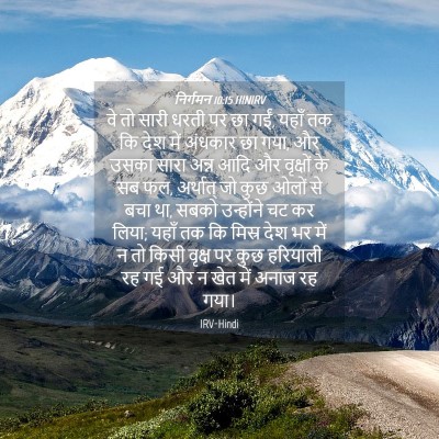Picture 04 - निर्गमन 10:15 HINIRV - वे तो सारी धरती पर - Bible Verse Picture