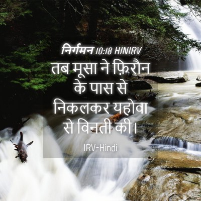 Picture 04 - निर्गमन 10:18 HINIRV - तब मूसा ने फ़िरौन - Bible Verse Picture