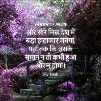 Picture 04 - निर्गमन 11:6 HINIRV - और सारे मिस्र देश - Bible Verse Picture